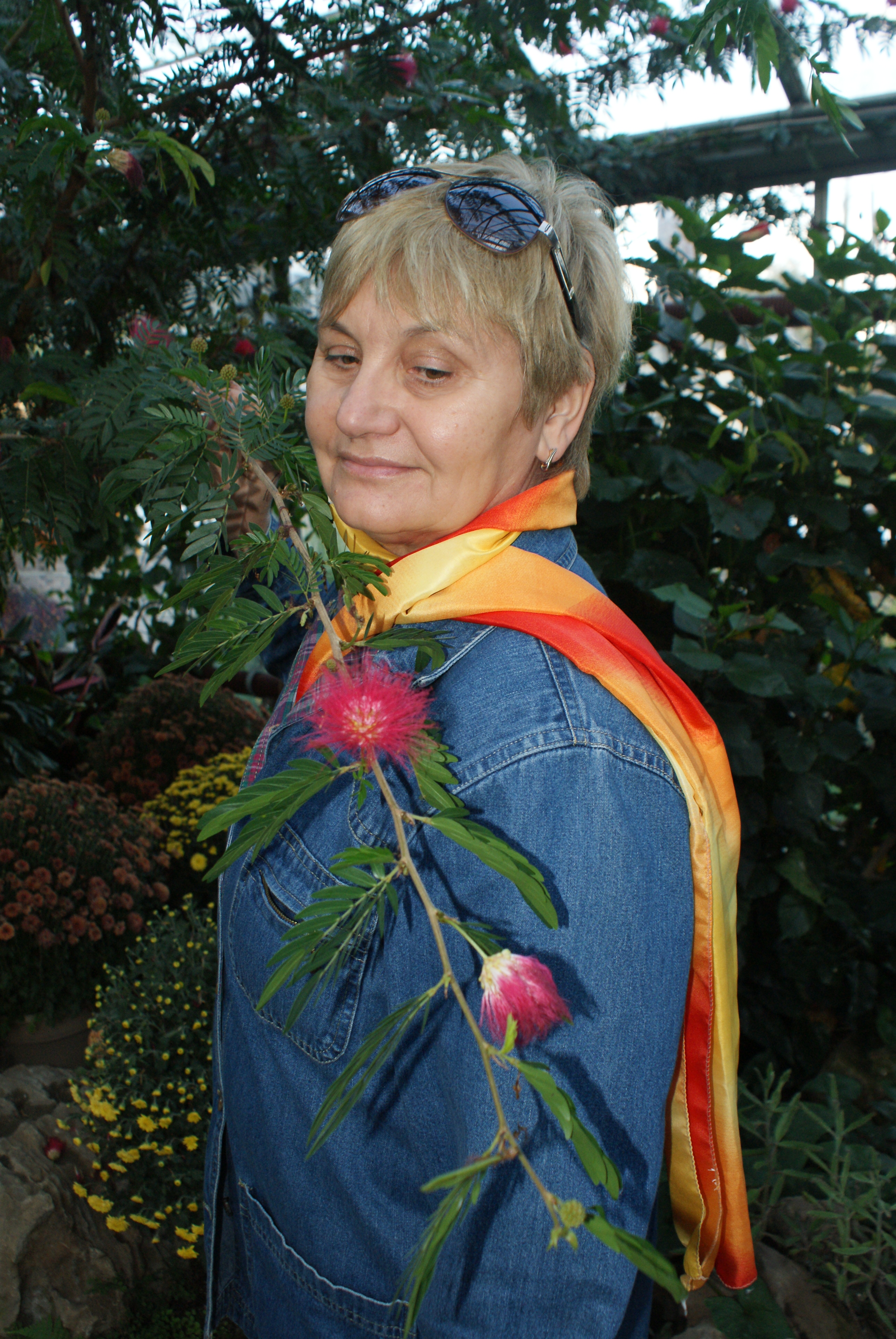SONY DSC